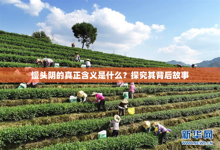 馒头阴的真正含义是什么？探究其背后故事