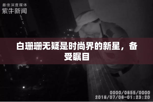 白珊珊无疑是时尚界的新星，备受瞩目