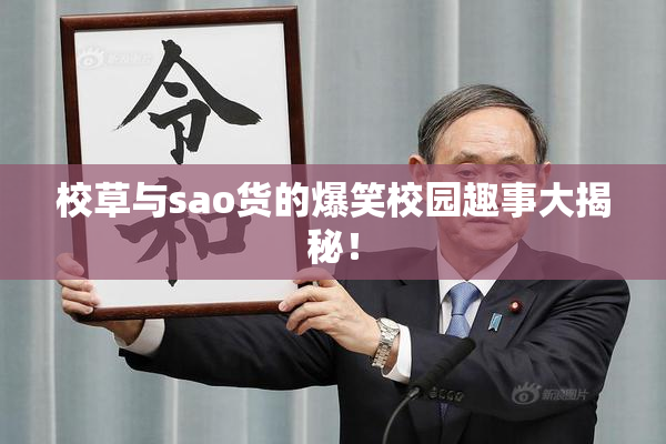 校草与sao货的爆笑校园趣事大揭秘！