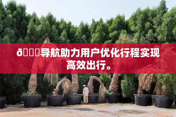 🍓导航助力用户优化行程实现高效出行。