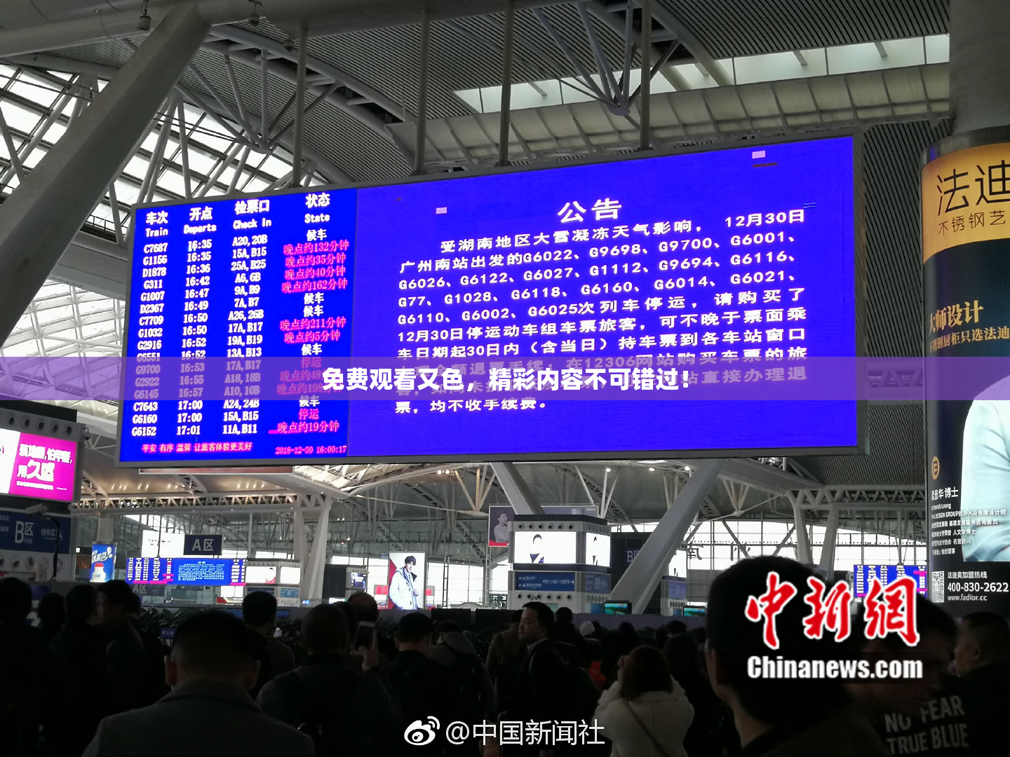 免费观看又色，精彩内容不可错过！