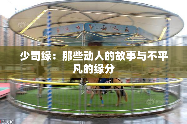 少司缘：那些动人的故事与不平凡的缘分