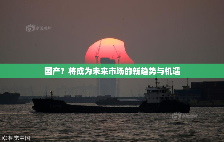 国产？将成为未来市场的新趋势与机遇
