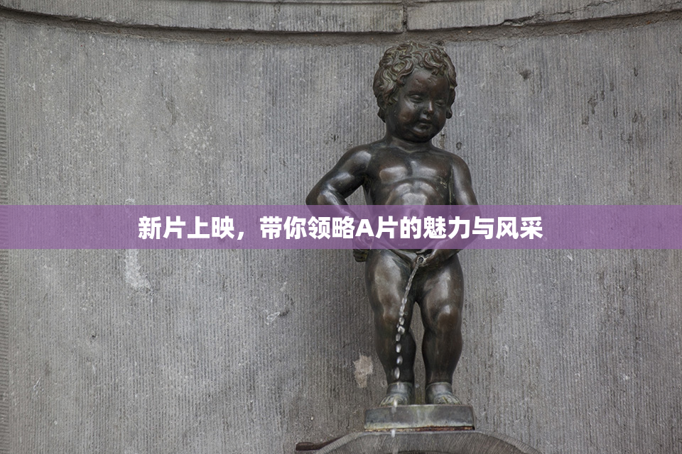 新片上映，带你领略A片的魅力与风采