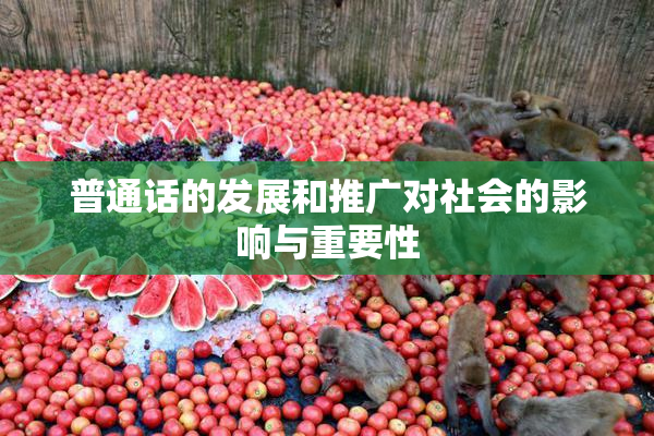普通话的发展和推广对社会的影响与重要性