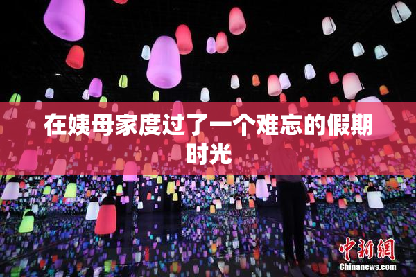 在姨母家度过了一个难忘的假期时光
