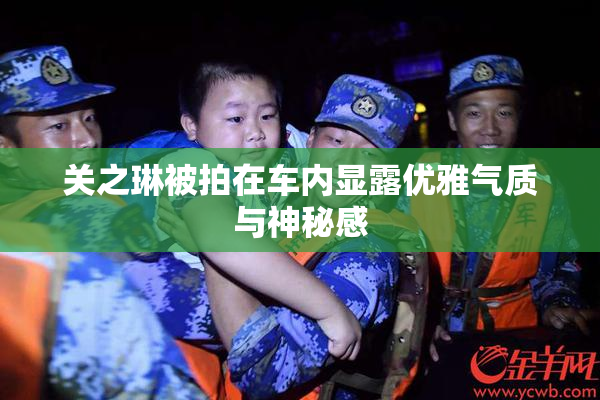 关之琳被拍在车内显露优雅气质与神秘感