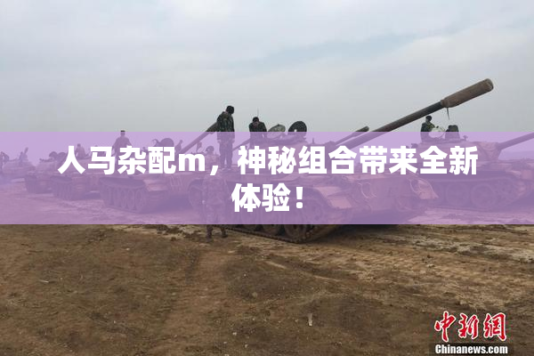 人马杂配m，神秘组合带来全新体验！