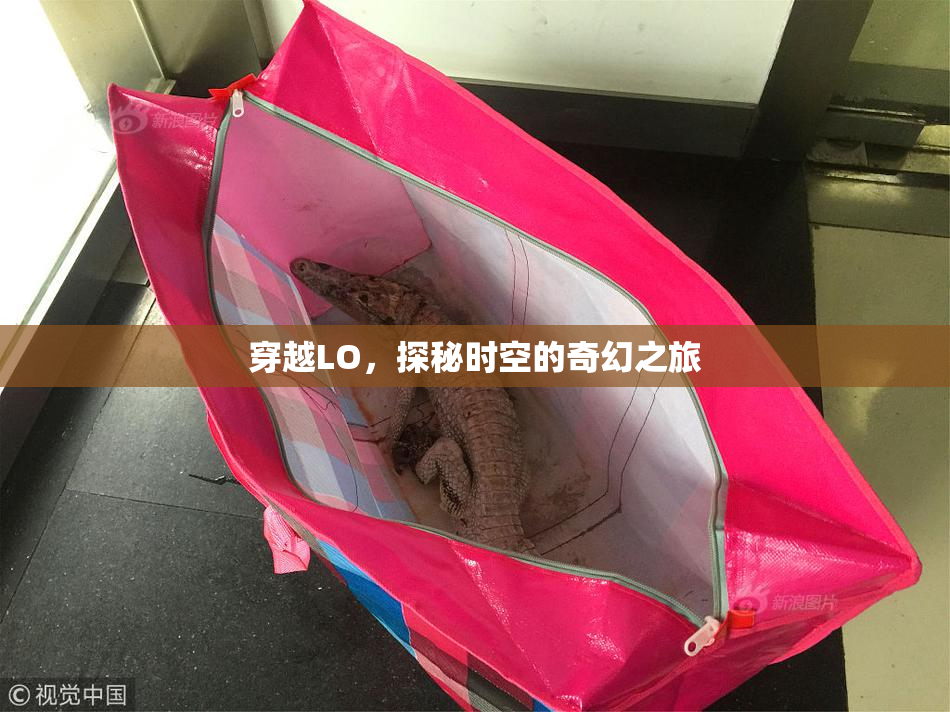 穿越LO，探秘时空的奇幻之旅