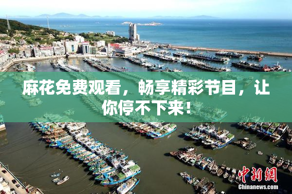 麻花免费观看，畅享精彩节目，让你停不下来！