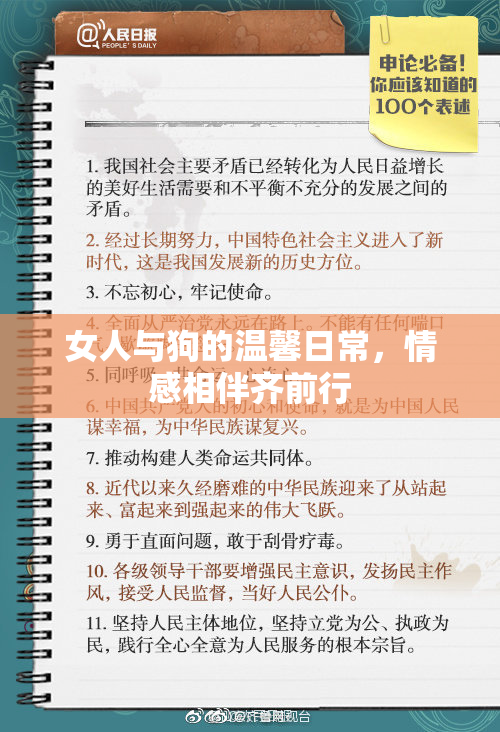 女人与狗的温馨日常，情感相伴齐前行
