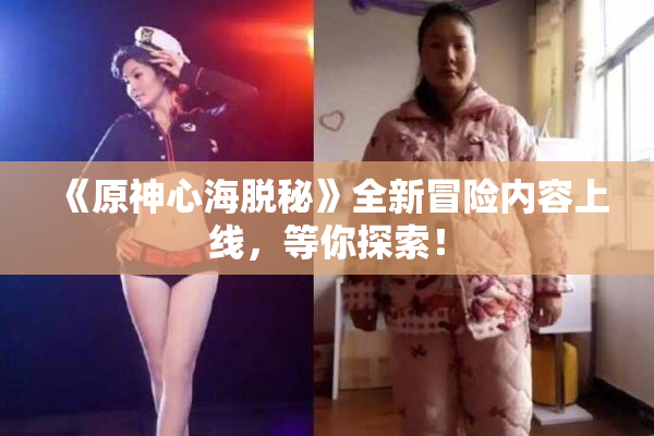《原神心海脱秘》全新冒险内容上线，等你探索！