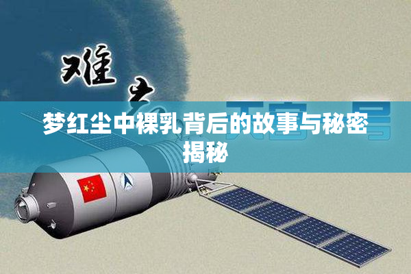 梦红尘中裸乳背后的故事与秘密揭秘
