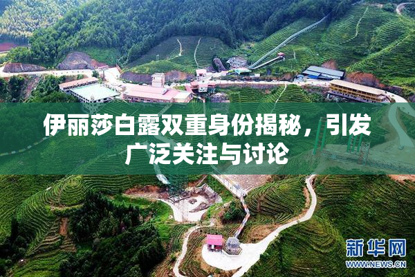 伊丽莎白露双重身份揭秘，引发广泛关注与讨论