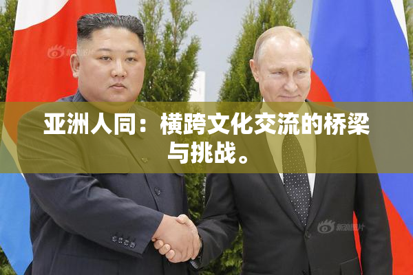 亚洲人同：横跨文化交流的桥梁与挑战。