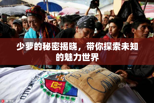少萝的秘密揭晓，带你探索未知的魅力世界