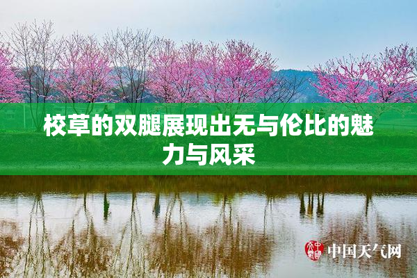 校草的双腿展现出无与伦比的魅力与风采