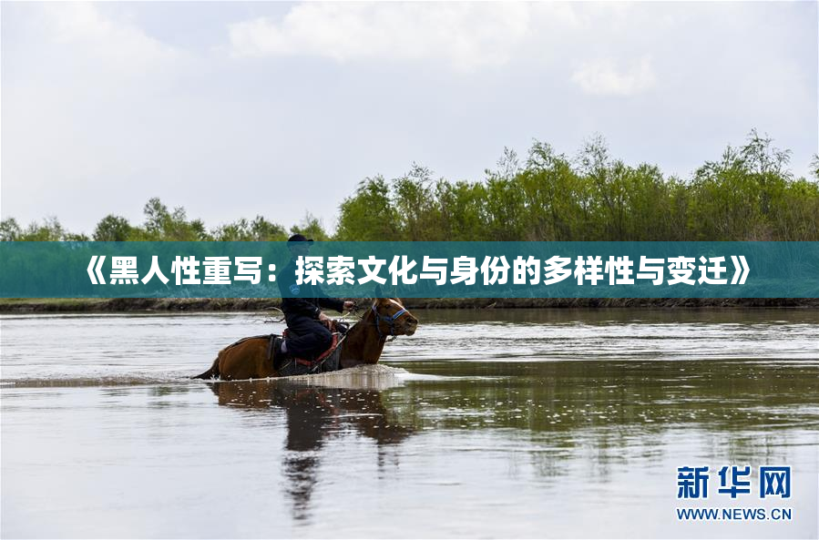 《黑人性重写：探索文化与身份的多样性与变迁》