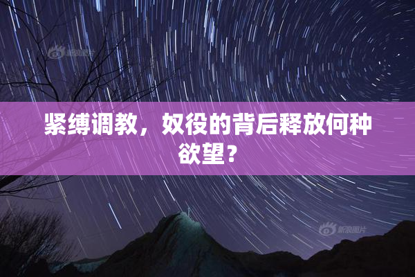 紧缚调教，奴役的背后释放何种欲望？