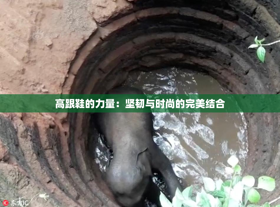 高跟鞋的力量：坚韧与时尚的完美结合