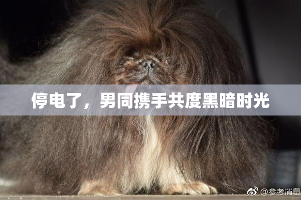 停电了，男同携手共度黑暗时光