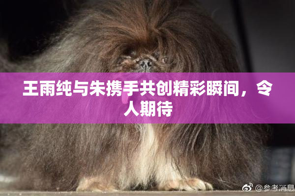 王雨纯与朱携手共创精彩瞬间，令人期待