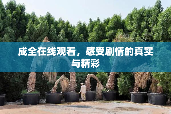 成全在线观看，感受剧情的真实与精彩