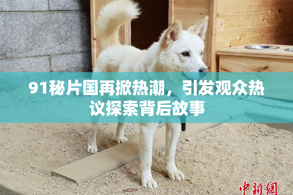 91秘片国再掀热潮，引发观众热议探索背后故事