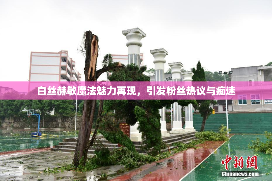 白丝赫敏魔法魅力再现，引发粉丝热议与痴迷