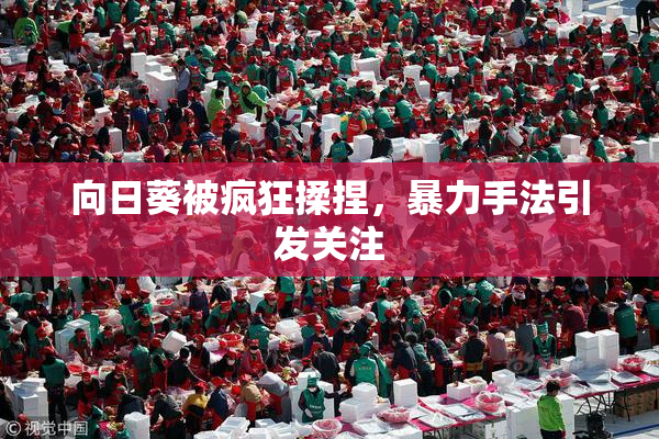 向日葵被疯狂揉捏，暴力手法引发关注