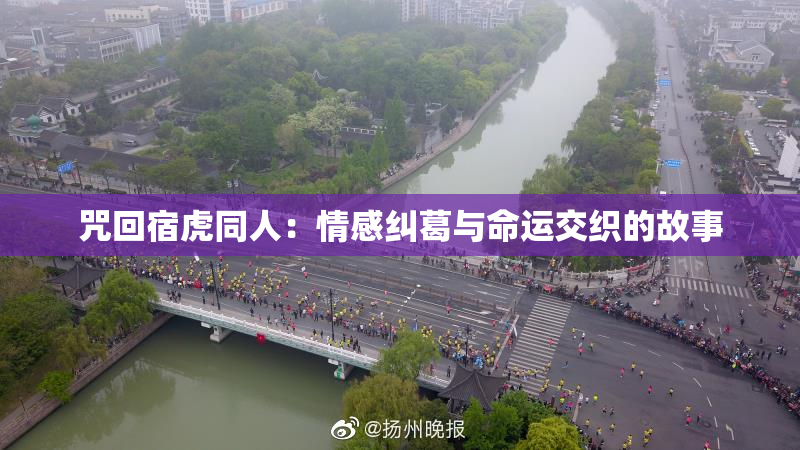 咒回宿虎同人：情感纠葛与命运交织的故事