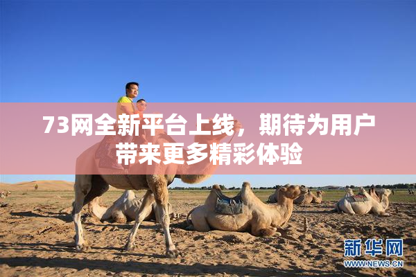 73网全新平台上线，期待为用户带来更多精彩体验