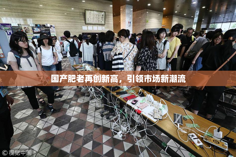 国产肥老再创新高，引领市场新潮流