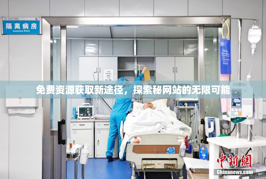 免费资源获取新途径，探索秘网站的无限可能