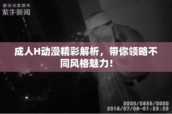 成人H动漫精彩解析，带你领略不同风格魅力！