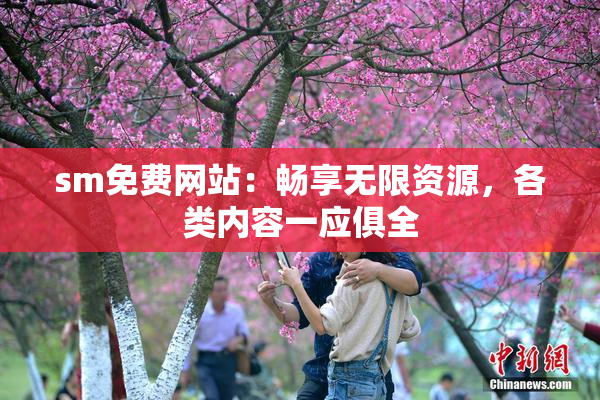 sm免费网站：畅享无限资源，各类内容一应俱全