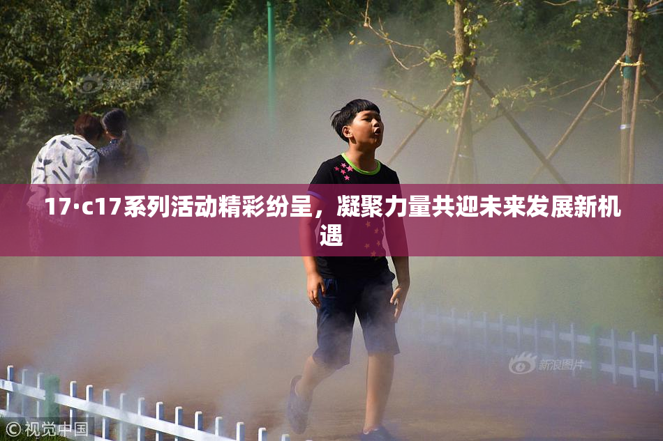 17·c17系列活动精彩纷呈，凝聚力量共迎未来发展新机遇