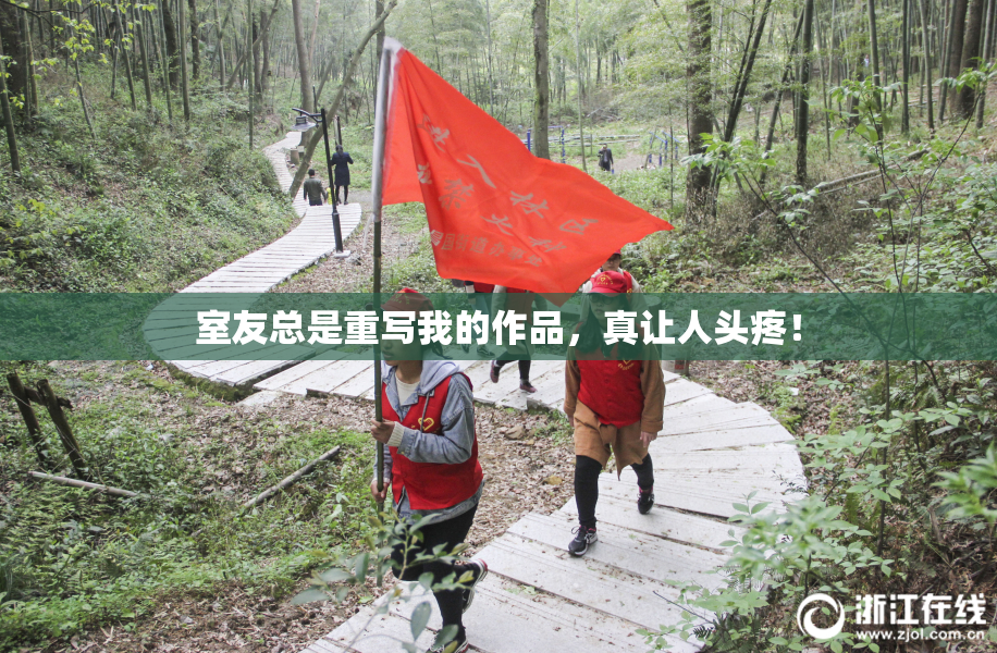 室友总是重写我的作品，真让人头疼！