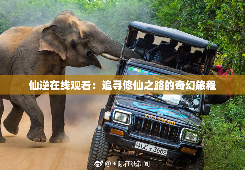 仙逆在线观看：追寻修仙之路的奇幻旅程