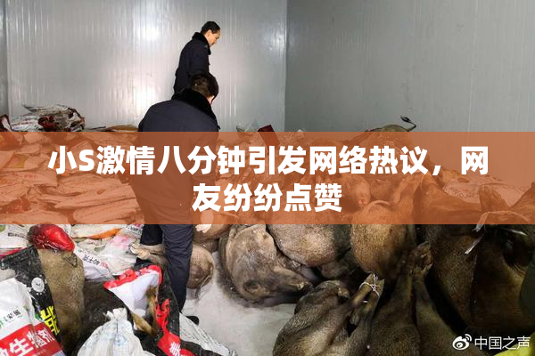 小S激情八分钟引发网络热议，网友纷纷点赞