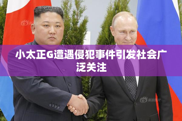 小太正G遭遇侵犯事件引发社会广泛关注