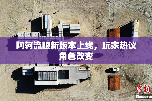 阿轲流眼新版本上线，玩家热议角色改变