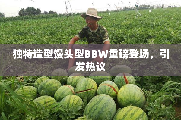 独特造型馒头型BBW重磅登场，引发热议