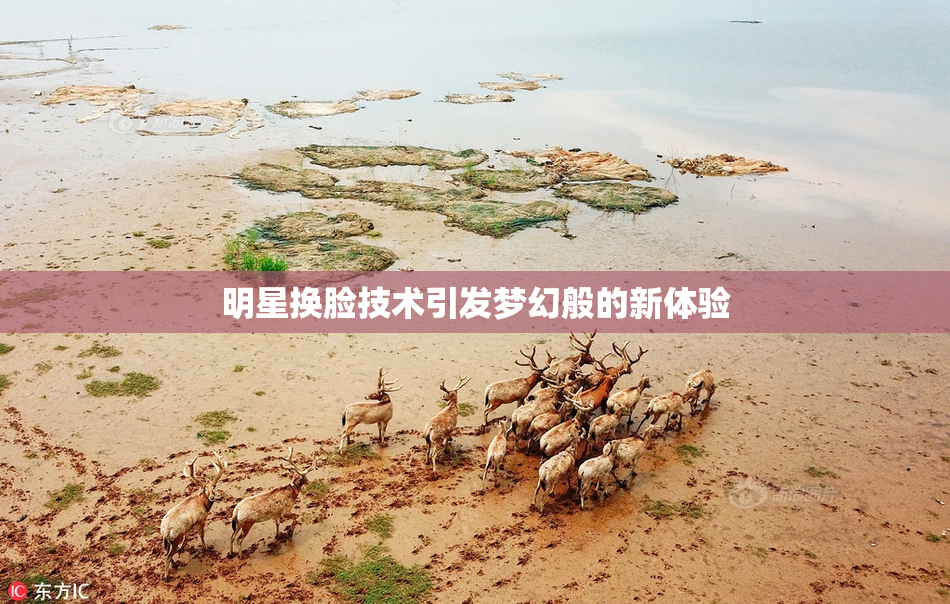 明星换脸技术引发梦幻般的新体验