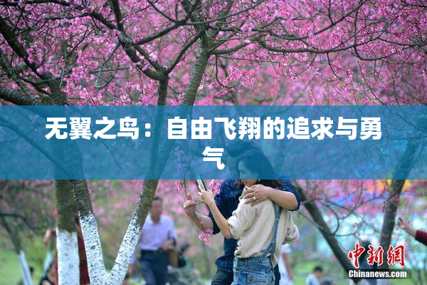 无翼之鸟：自由飞翔的追求与勇气