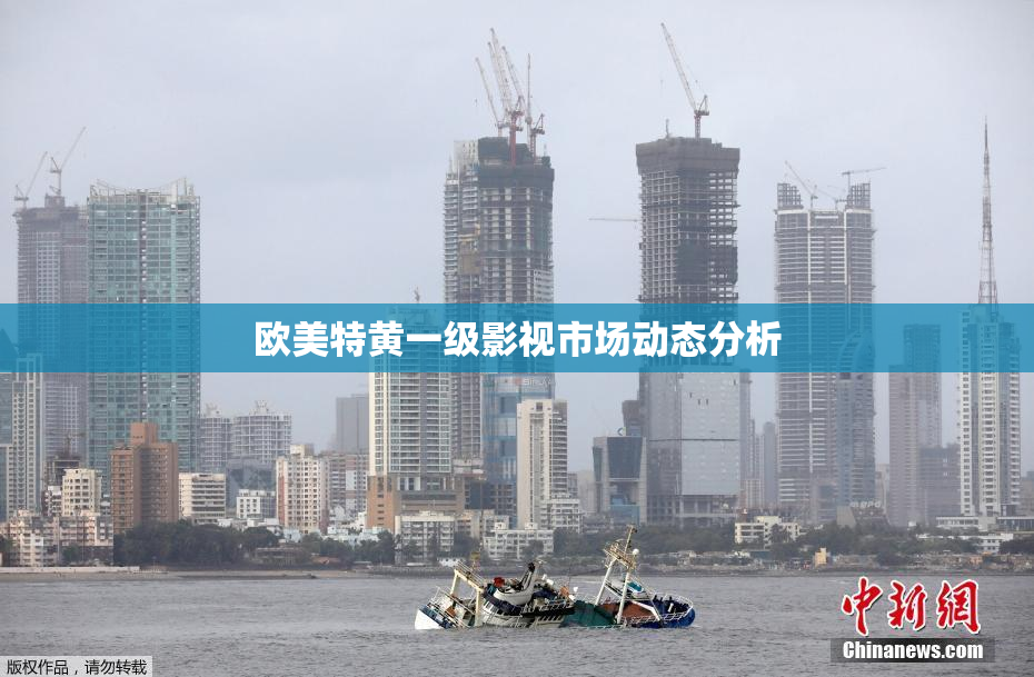 欧美特黄一级影视市场动态分析