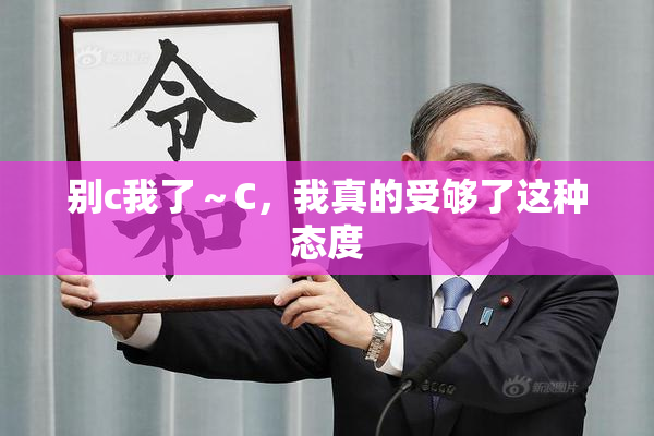别c我了～C，我真的受够了这种态度