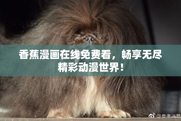 香蕉漫画在线免费看，畅享无尽精彩动漫世界！