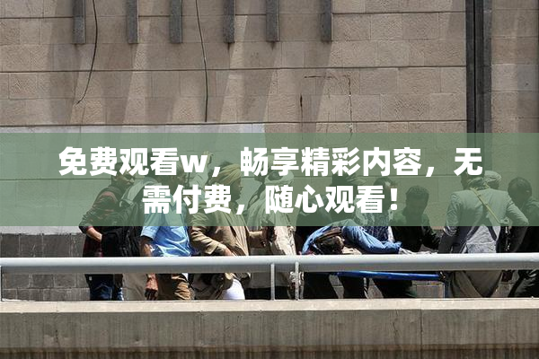 免费观看w，畅享精彩内容，无需付费，随心观看！