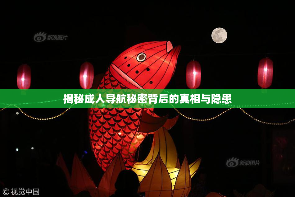 揭秘成人导航秘密背后的真相与隐患